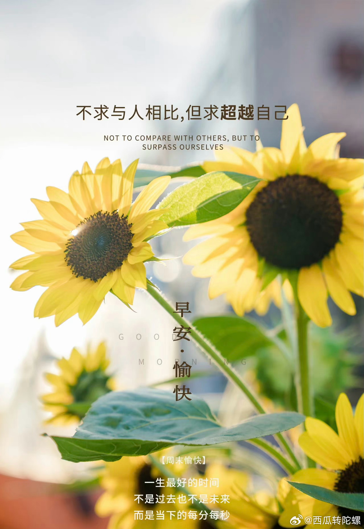 每日七言2024最新版，探索自然美景之旅，尋找內心平和的旅程