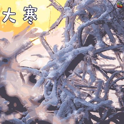 2024年白蘿卜最新價格回顧與展望，洞悉市場趨勢