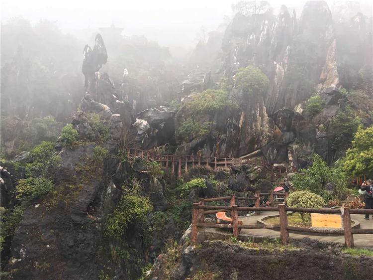 最新自由舞步八步，深度解讀與觀點闡述