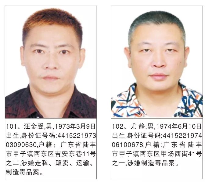 陸豐市最新通緝犯識別與防范指南，通緝犯信息公示及公眾應對建議