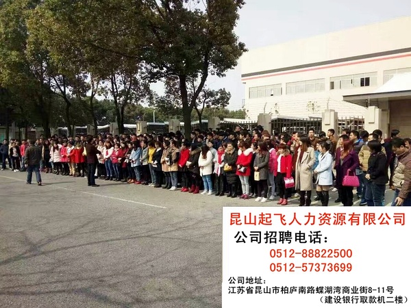 蘇州園區電子廠最新招聘信息揭秘，一段關于求職的溫馨日常故事