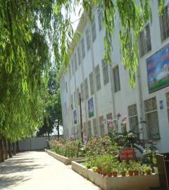 宋集鄉與漣水的新動態，小巷深處的獨特風情與美食瑰寶