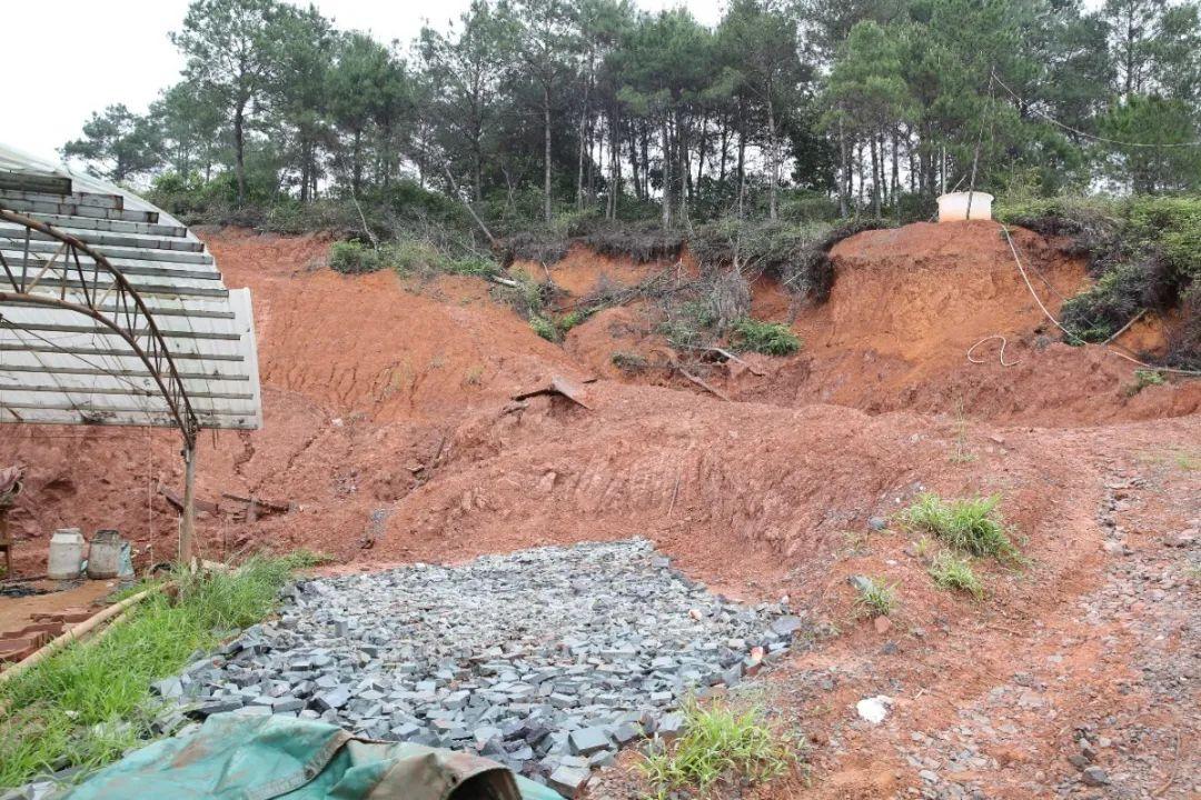 藤縣撤縣設市最新動態，科技新紀元下的新光芒閃耀藤縣