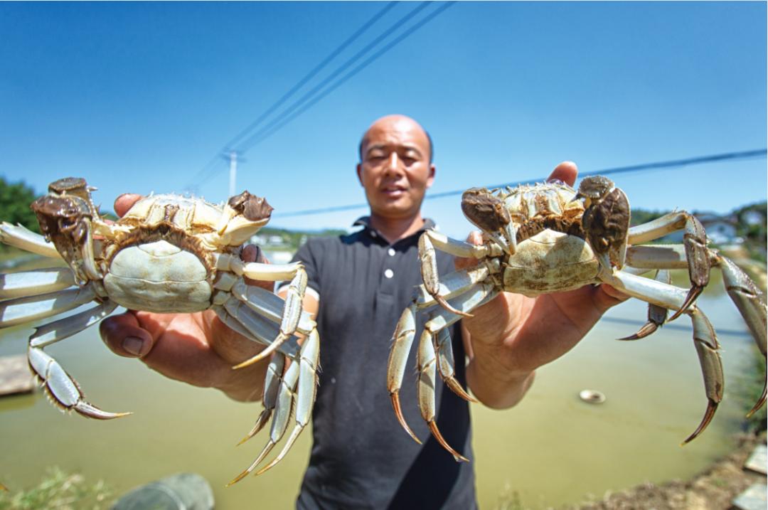 瀏陽市最新招聘信息網，職業發展的起點之門