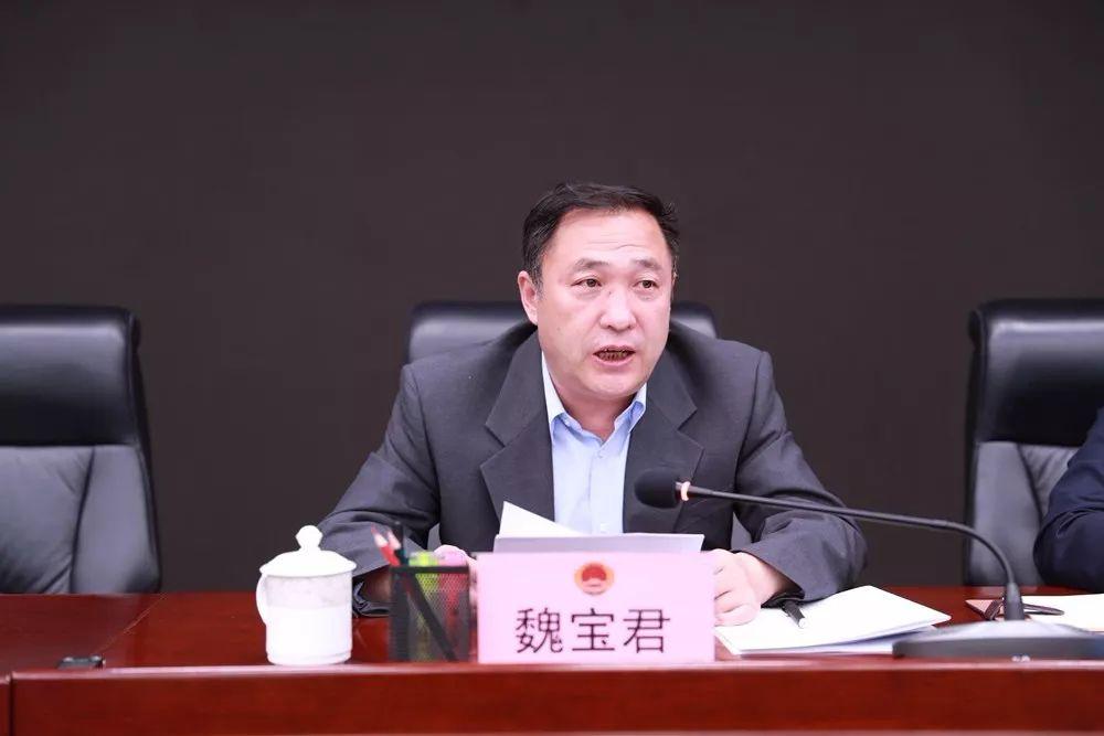 甘肅省林業廳最新事件,甘肅省林業廳最新事件之我見