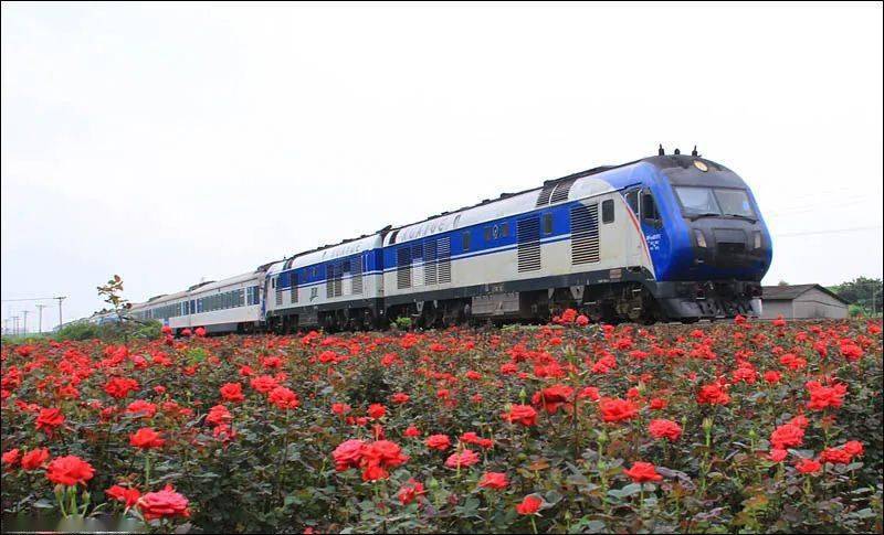 大海熱線最新一期，探尋自然美景，解鎖內心寧靜與平和之旅