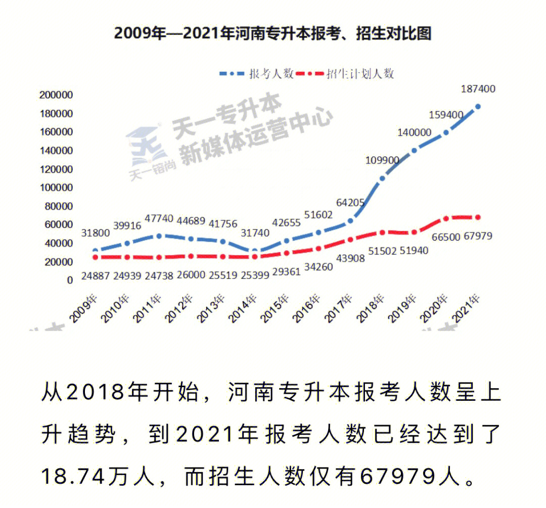 河南專升本考試調查最新進展揭秘，最新動態與成果匯總????