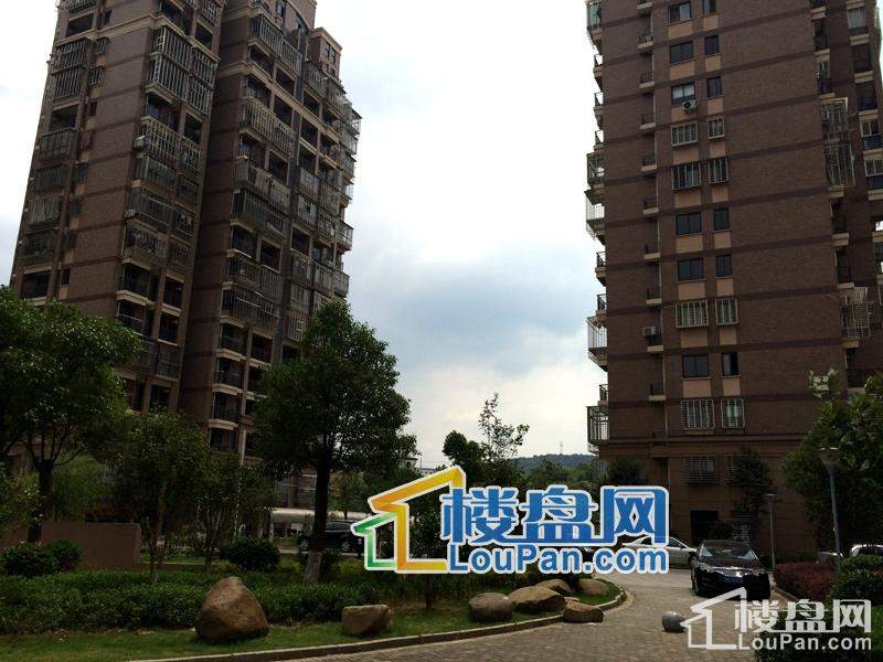 建陽萬晟星城最新動態，小巷深處的獨特風情