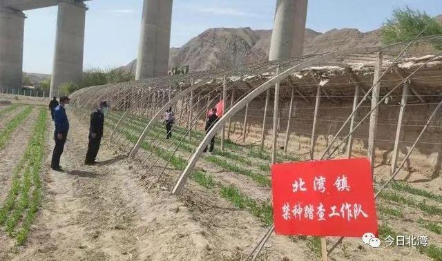 靖遠縣北灘鎮科技新浪潮,最新高科技產品亮相,引領地區發展新征程!