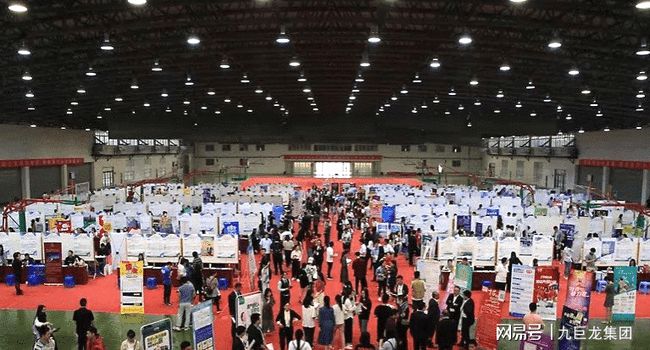 龍觀人才市場(chǎng)最新現(xiàn)場(chǎng)招聘信息及其解讀