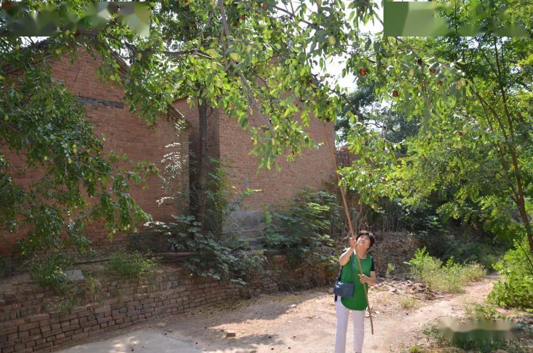 南樂縣梁村鄉突發車禍事件,緊急救援行動啟動