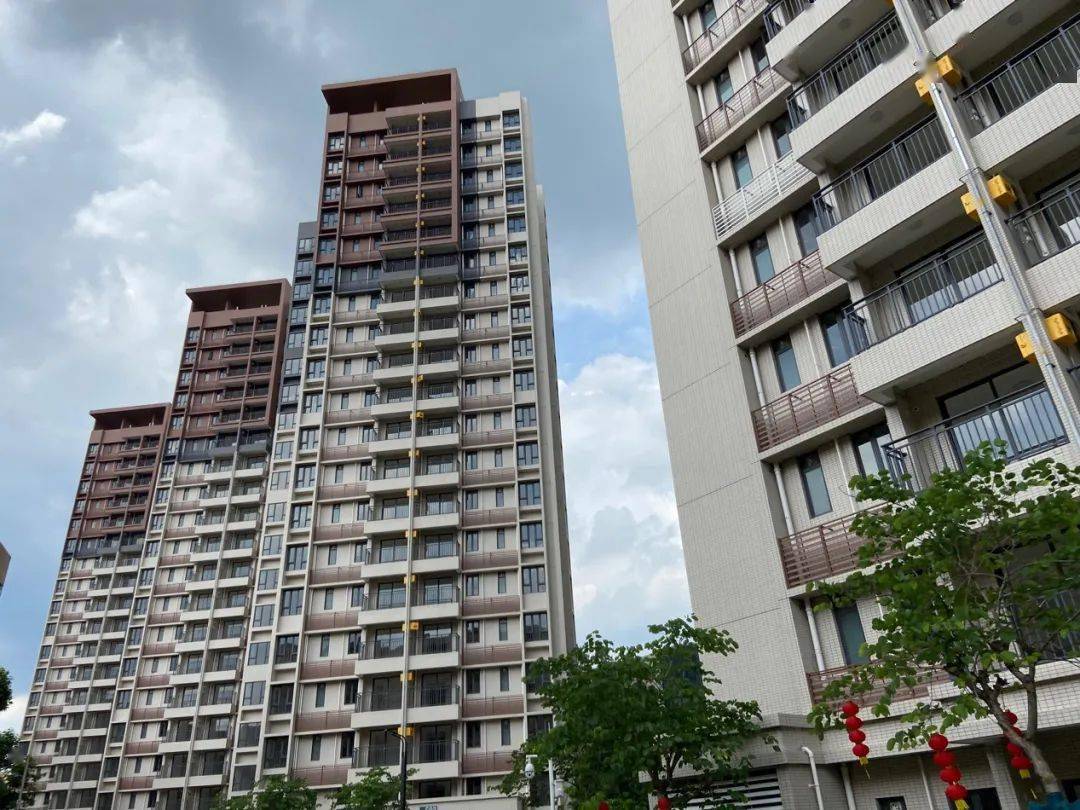 觀園路統建房最新動態，自然美景的探索之旅