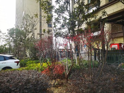 一里香溪最新動態(tài)更新????