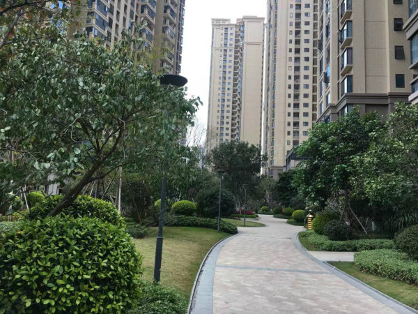 中駿南灣悅庭最新動態,揭秘最新消息????