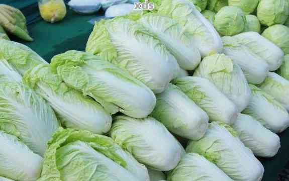 全國大白菜最新批發價,綠色之旅尋找內心平靜的開始