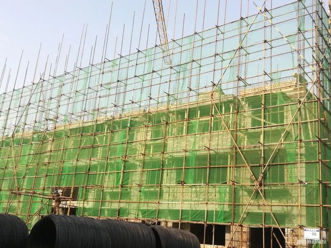 偃師董衛(wèi)亮最新進(jìn)展，陽光下的日常趣事揭秘