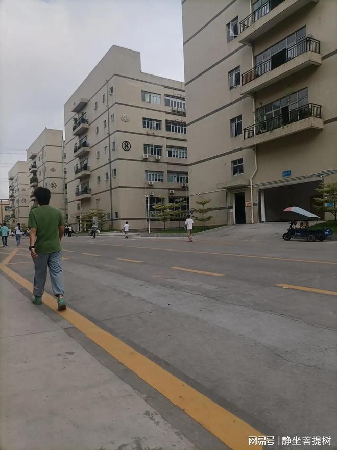 倫教工業區臨時工信息,一場自然美景的治愈之旅探索