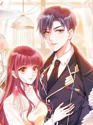 顧少的小萌妻，超甜愛情章節熱推小紅書上熱門！