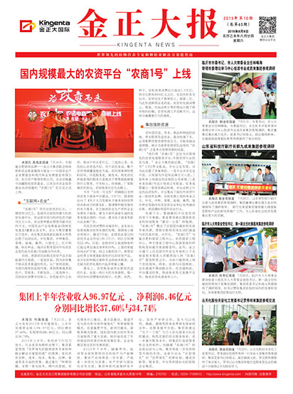 金正大招聘網最新招聘信息及小巷特色小店探索！