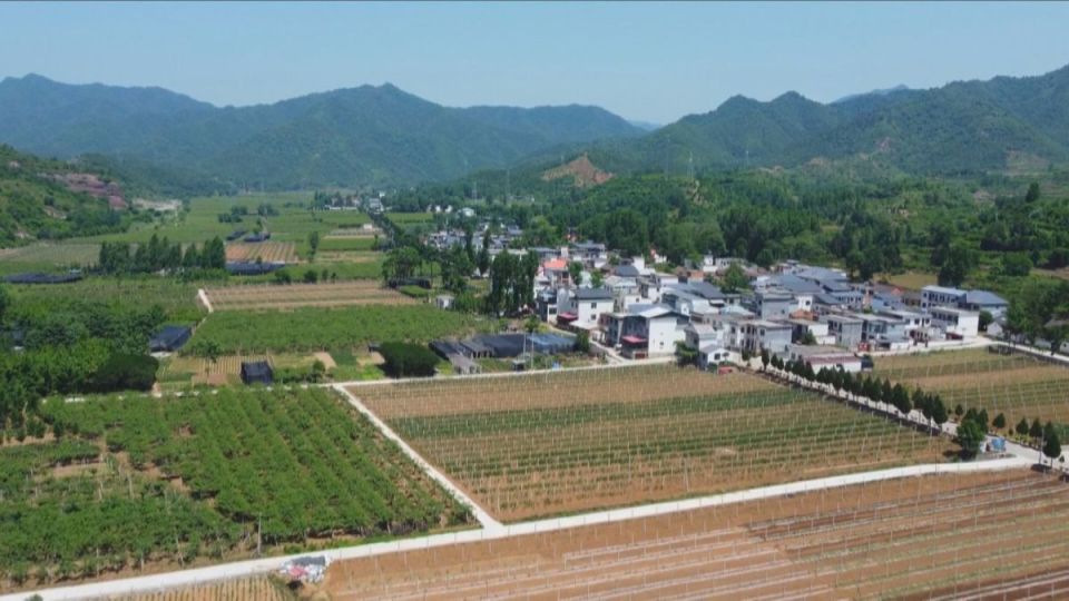 長治縣黎嶺村最新動態報道