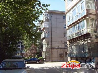 銅煤小區(qū)分房最新動態(tài)，最新消息全面解析