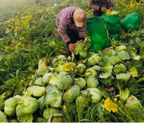 荊州金源世紀(jì)城最新消息,荊州金源世紀(jì)城最新消息,小巷深處的獨特風(fēng)味