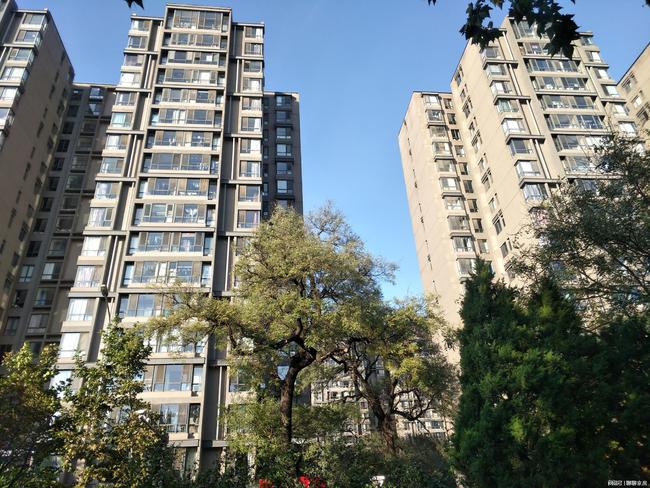 北京市西紅門最新消息,北京市西紅門最新消息，城市發(fā)展的前沿動(dòng)態(tài)