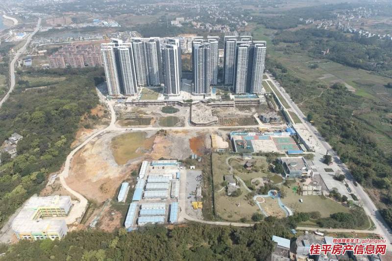 桂平江北新區最新動態揭秘