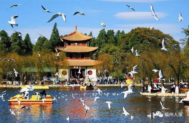 外砂二手房最新動態概覽