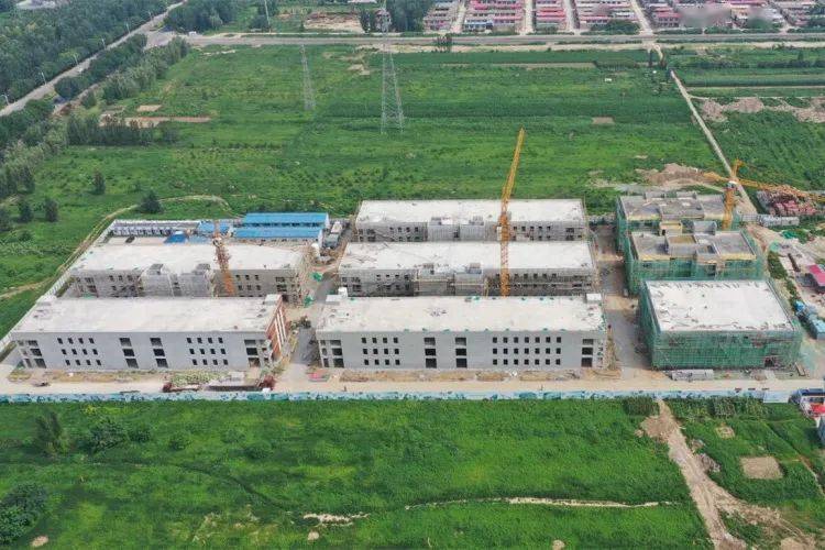 任丘市最新動態，城市溫情與友誼的綻放