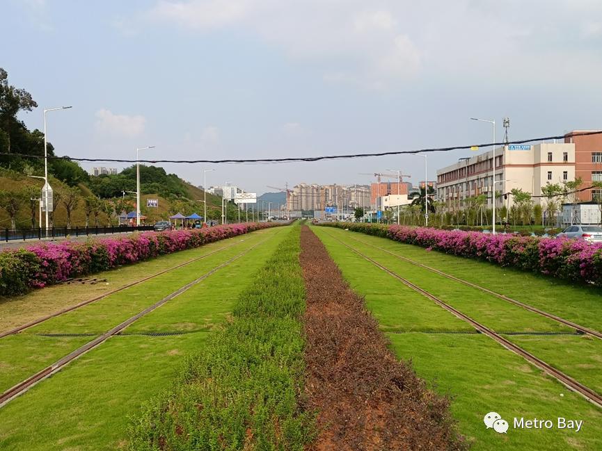 云埔工業區蓬勃發展勢頭強勁，未來可期，最新消息全面解讀