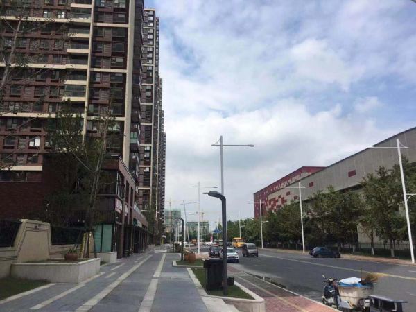 南京保利西江月最新動態，勵志之光引領未來之路