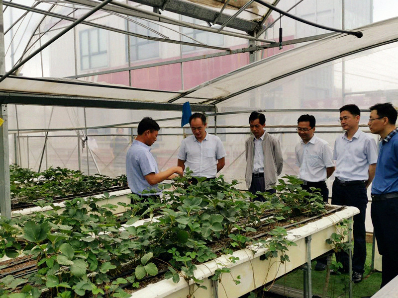 句容農科所最新動態，時代背景下的農業科研開啟新篇章