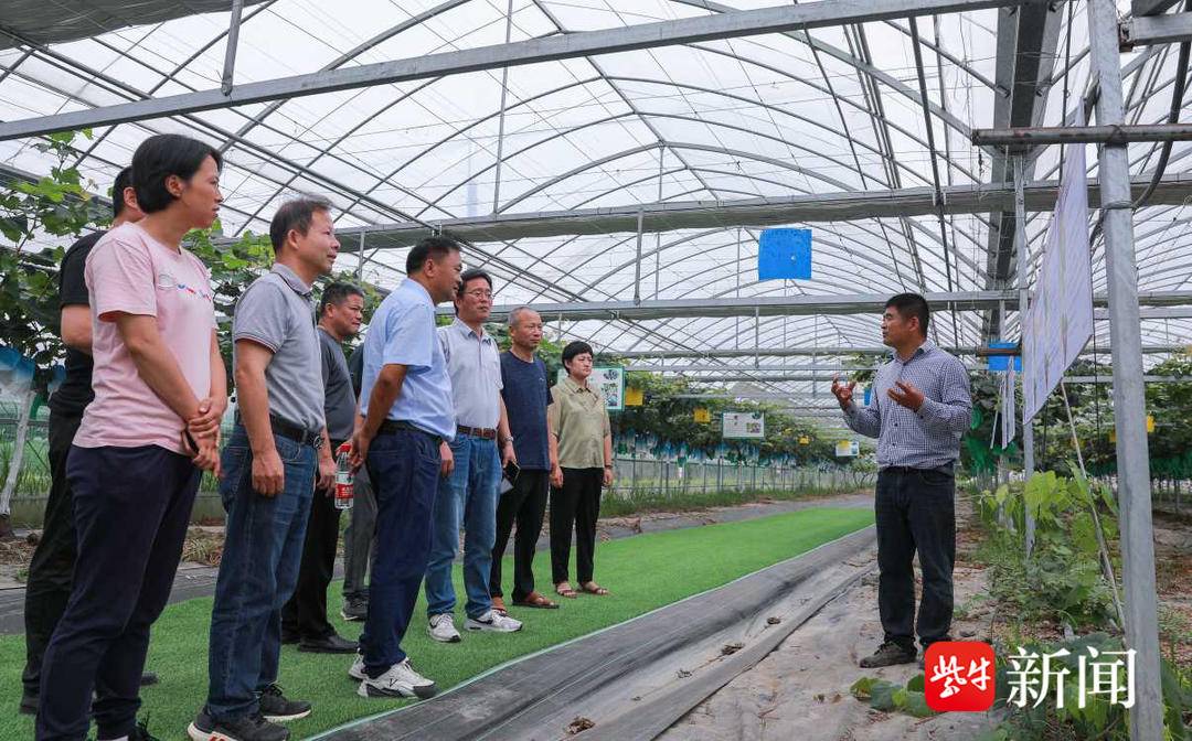 句容農科所最新動態,時代背景下的農業科研開啟新篇章