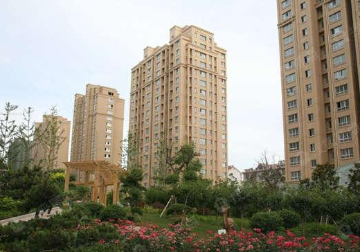 商河泰和名都最新動態更新