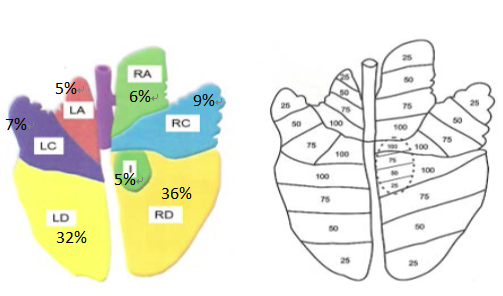 香港期期準(zhǔn)資料大全朱門,科學(xué)分析嚴(yán)謹(jǐn)解釋_1440p17.494