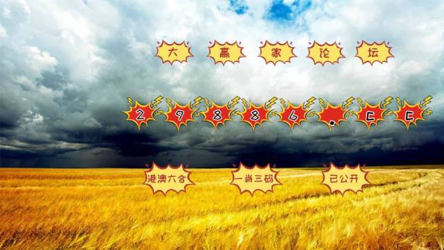 4949澳門彩開獎結果,專家解析意見_極致版85.106