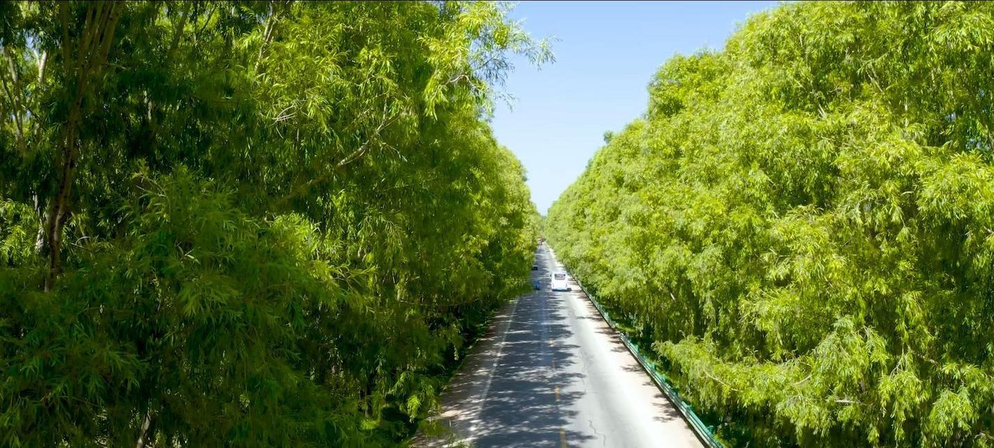 廣河高速車禍實時更新，最新消息匯總