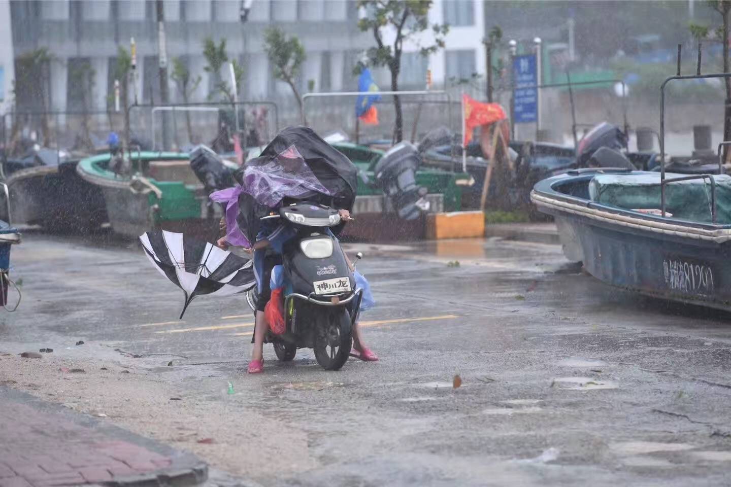 汕頭臺風苗柏最新動態與探索自然美景之旅