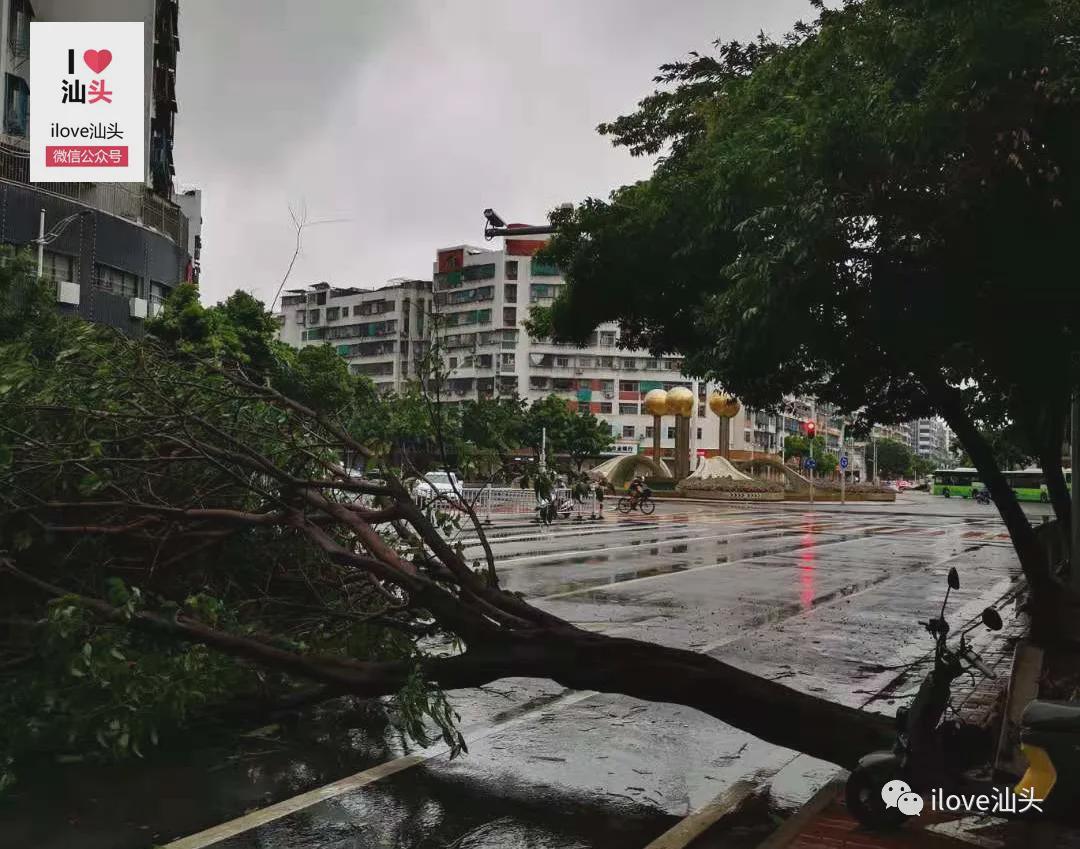 汕頭臺風苗柏最新動態與探索自然美景之旅