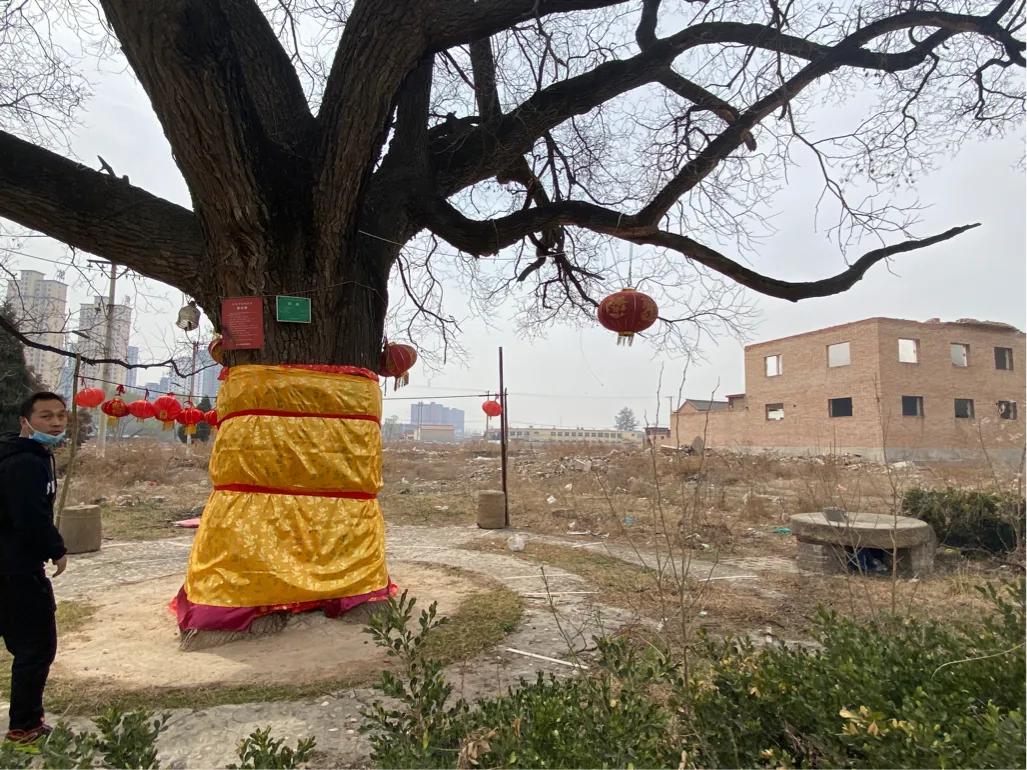 湛上村改造最新動(dòng)態(tài)，蛻變中的村莊，自信與成就感的源泉