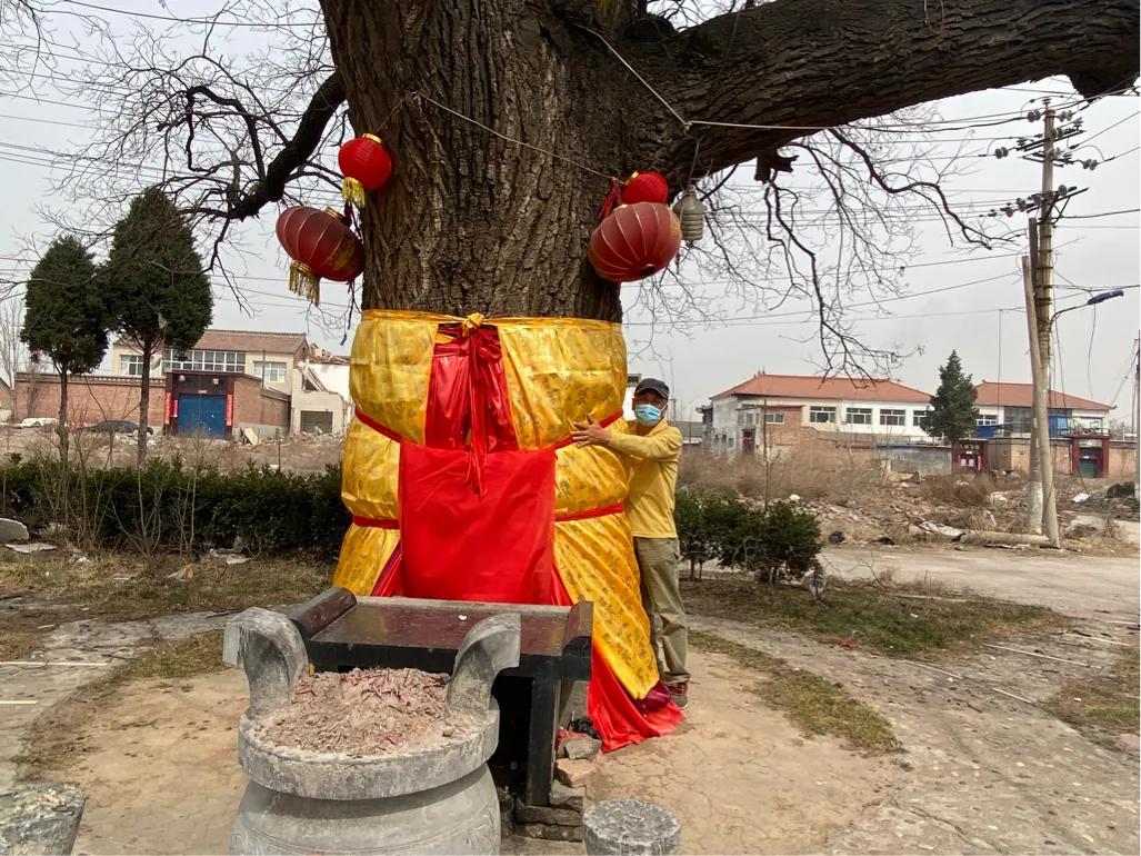 湛上村改造最新動(dòng)態(tài),蛻變中的村莊,自信與成就感的源泉