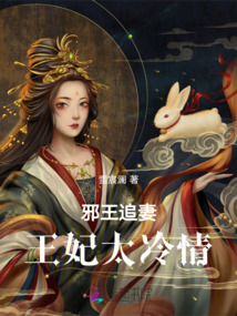 邪王追妻最新章節列表及觀點論述