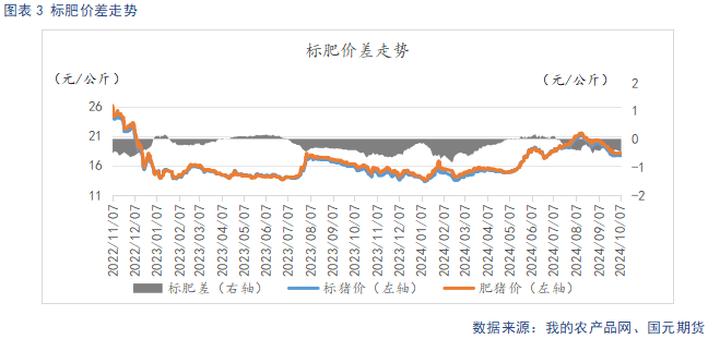 黃大仙三肖三碼必中肖,處于迅速響應(yīng)執(zhí)行_運動版64.943