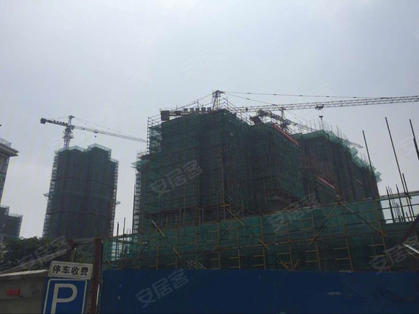 南辰濠郡最新動態(tài)與溫馨日常