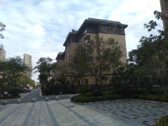 南辰濠郡最新動態(tài)與溫馨日常