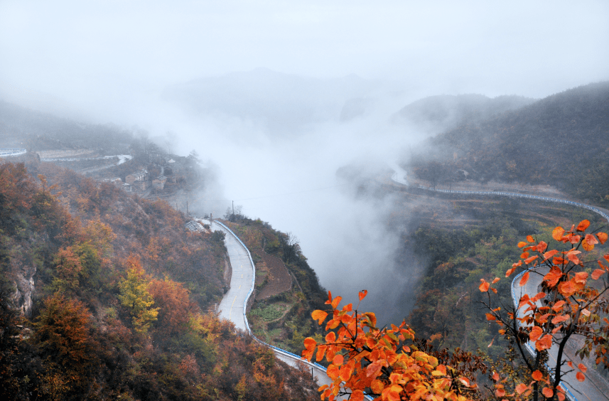 林州程廣用最新消息,林州程廣用最新消息