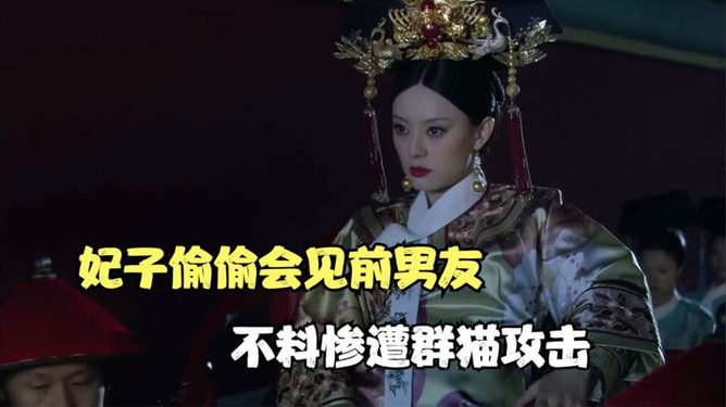 貓妃到朕碗里最新更新,自信與成就感的奇妙旅程學習之旅