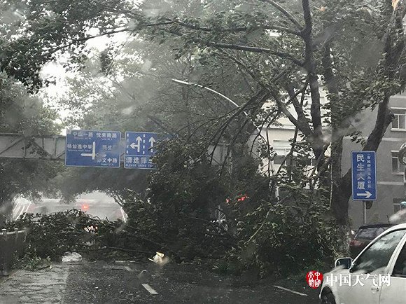 臺風天鴿香港最新消息及步驟指南,初學者與進階用戶必備指南