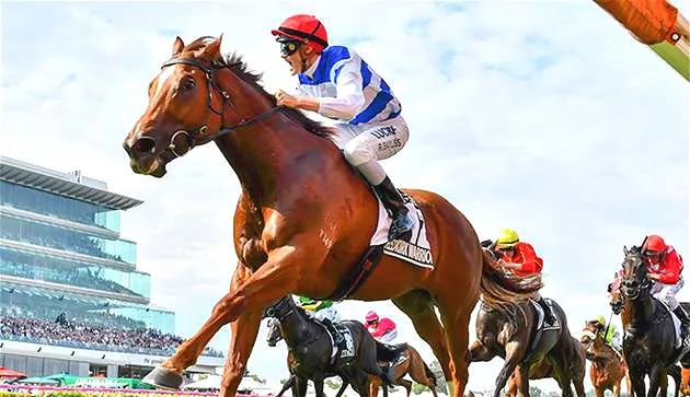 新澳2024年精準(zhǔn)特馬資料,全身心解答具體_創(chuàng)意版91.288